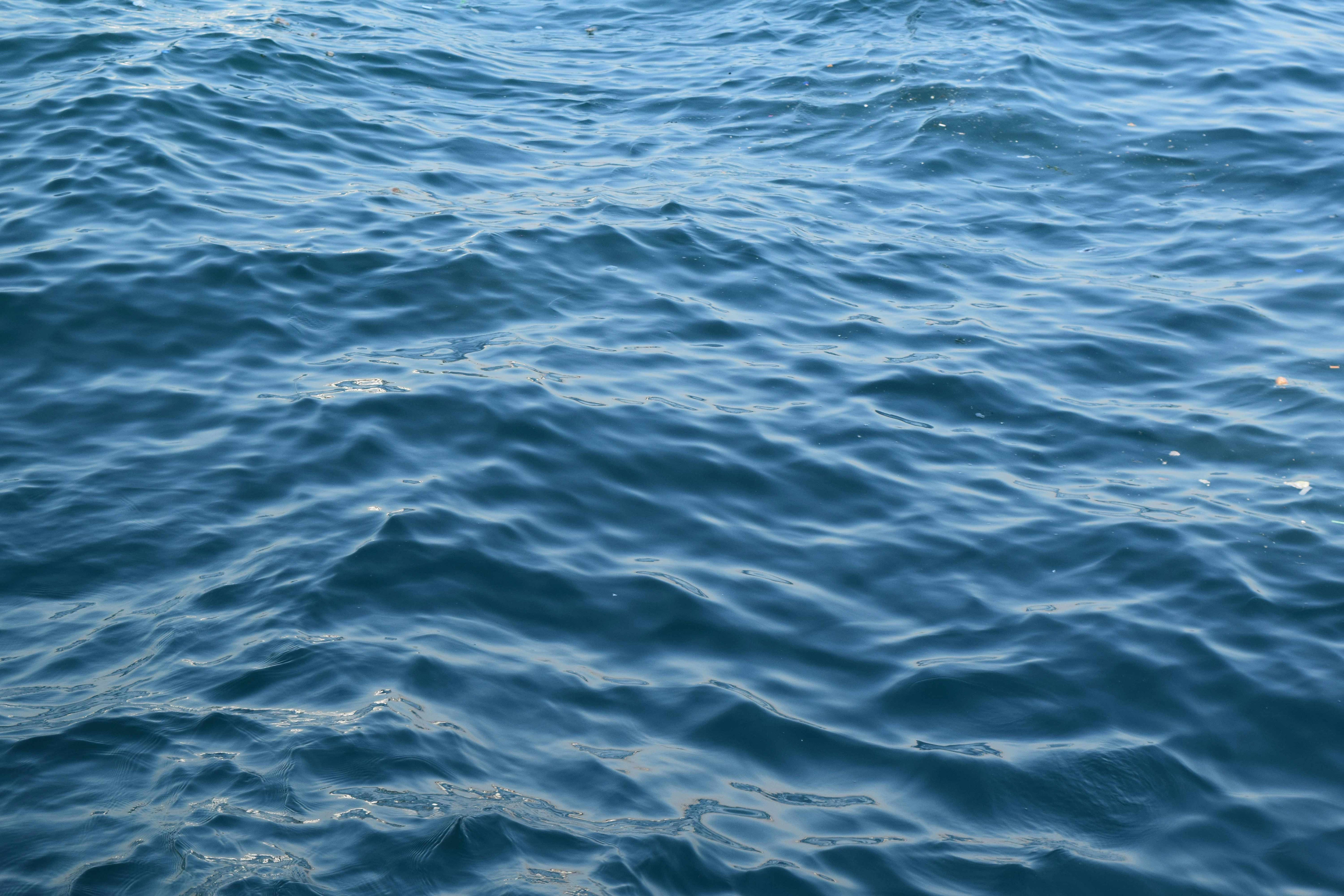 Socks That Save Our Seas